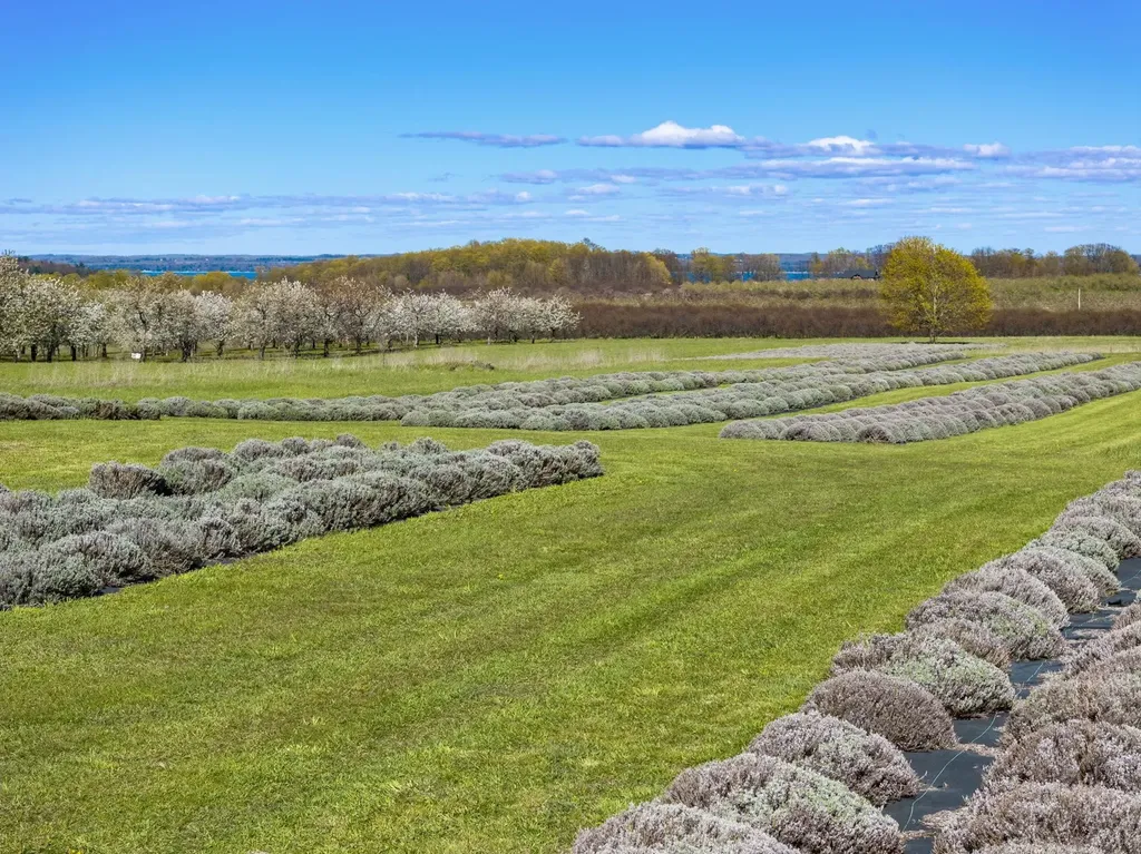 17770 Center Road Peninsula Township MI 49686