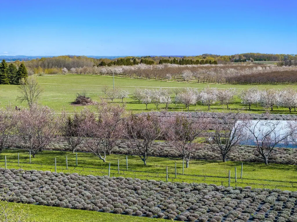 17770 Center Road Peninsula Township MI 49686
