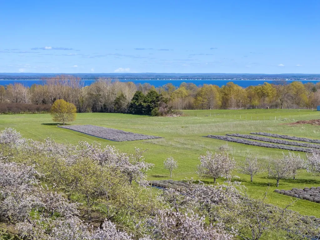 17770 Center Road Peninsula Township MI 49686