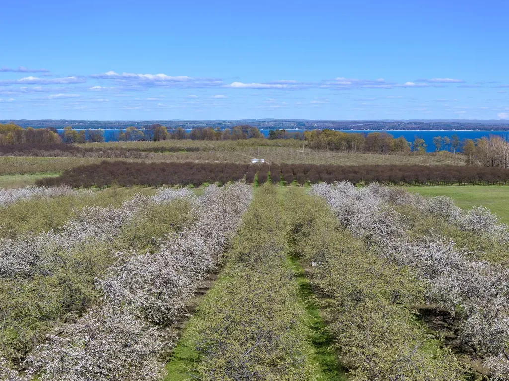 17770 Center Road Peninsula Township MI 49686