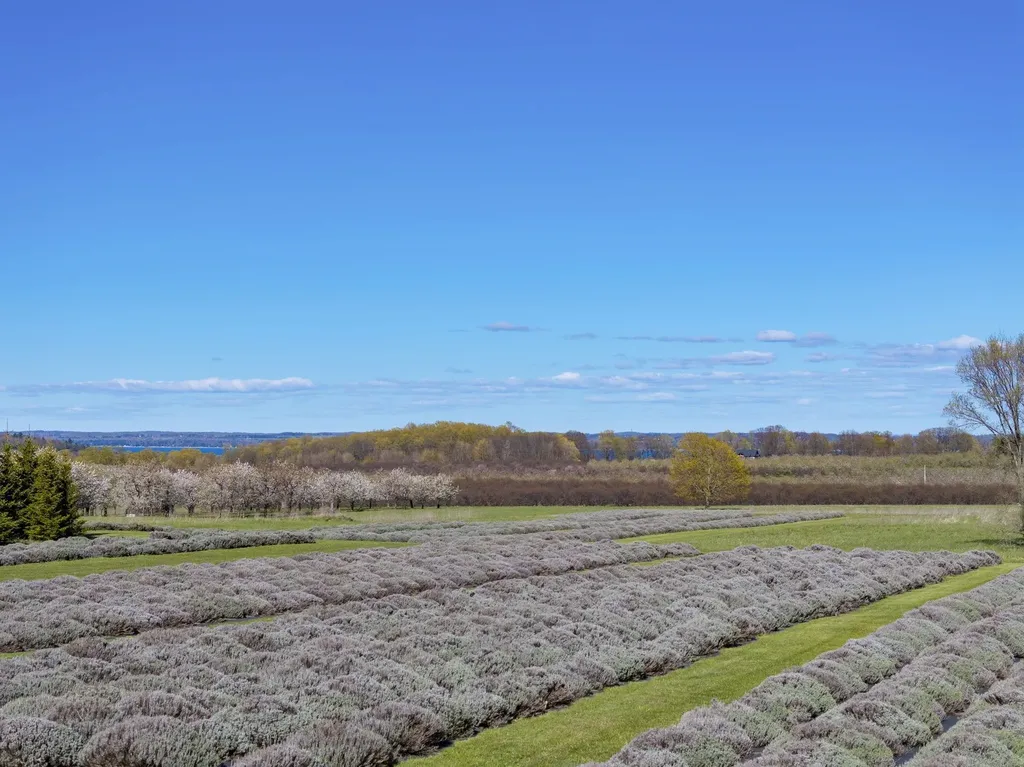 17770 Center Road Peninsula Township MI 49686