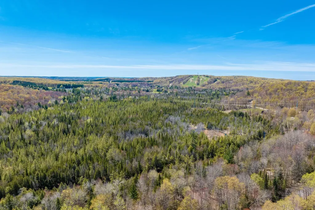 984 Cedar River Drive Custer Township MI 49615