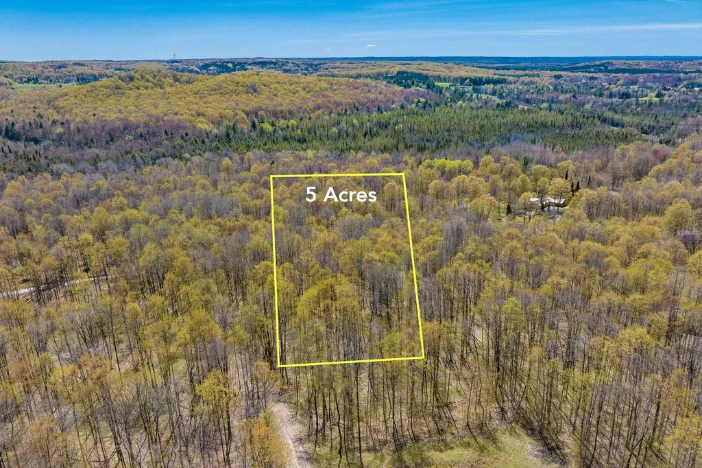 984 Cedar River Drive Custer Township MI 49615