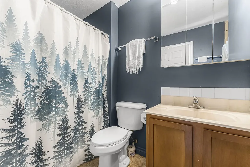8576 King Arthurs Court Paradise Township MI 49649