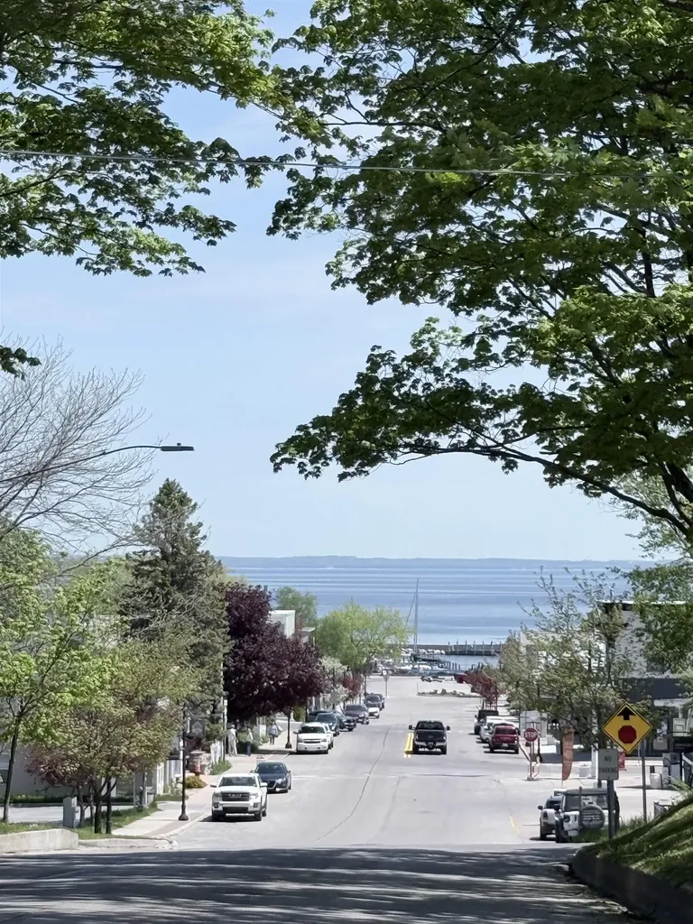 205 E Seventh Street Leelanau Township MI 49670