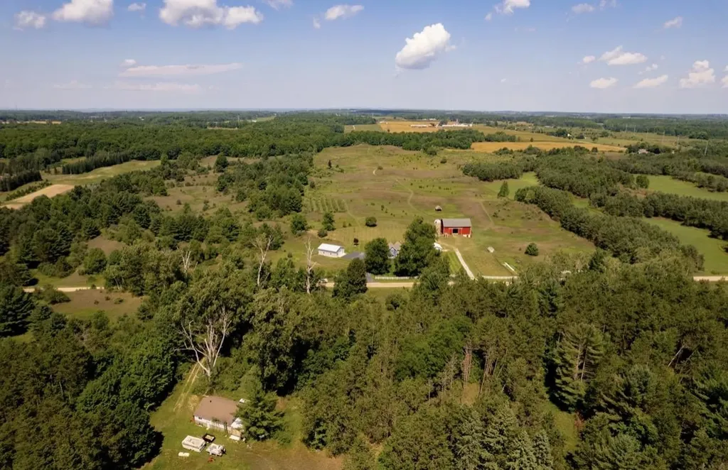 7322 Fryzelka Road Grant Township MI 49620