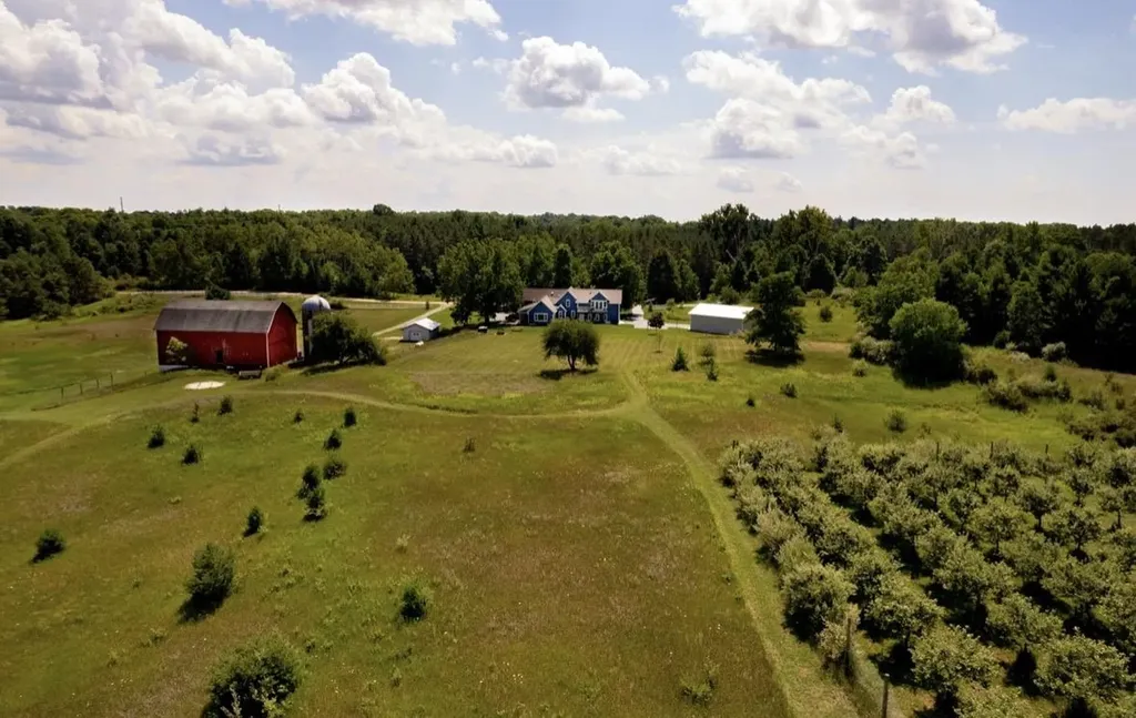 7322 Fryzelka Road Grant Township MI 49620