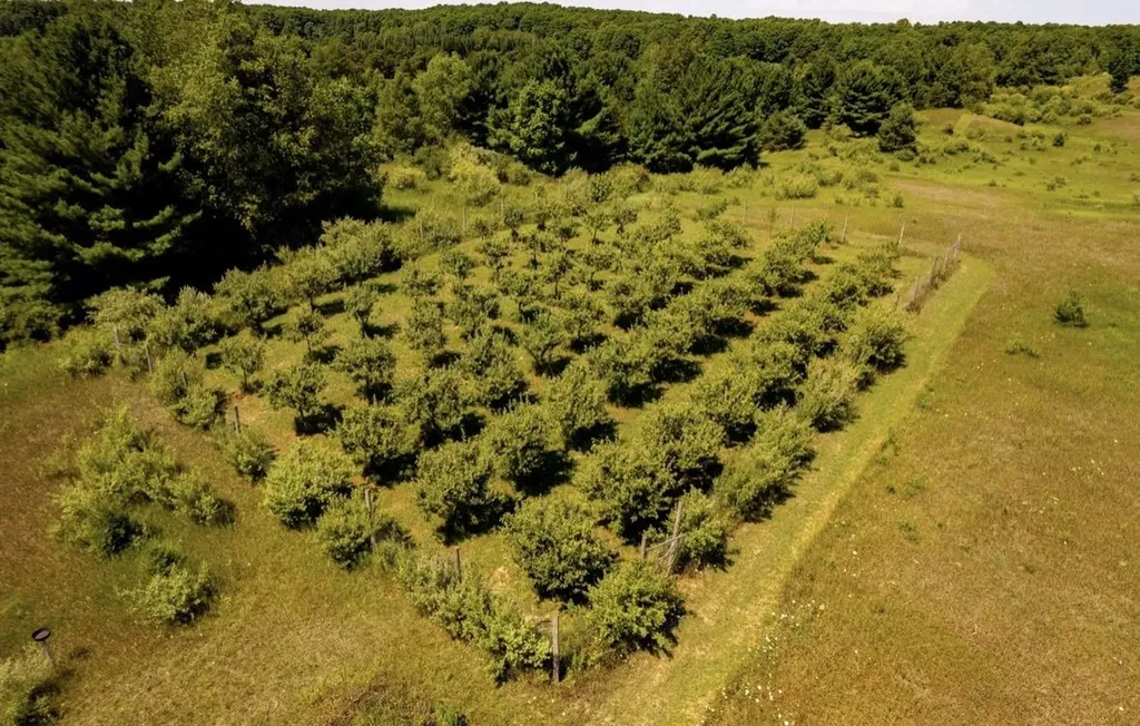 7322 Fryzelka Road Grant Township MI 49620