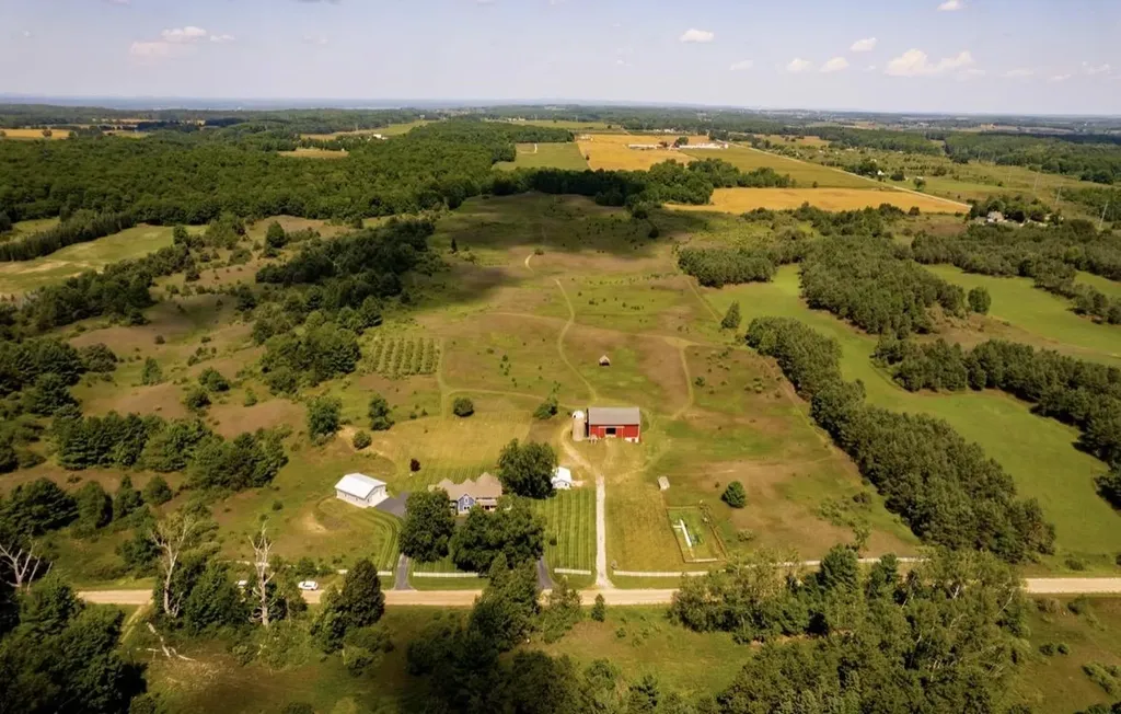 7322 Fryzelka Road Grant Township MI 49620