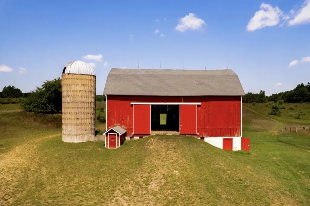 7322 Fryzelka Road Grant Township MI 49620