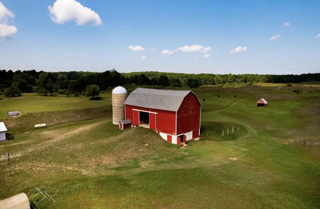 7322 Fryzelka Road Grant Township MI 49620