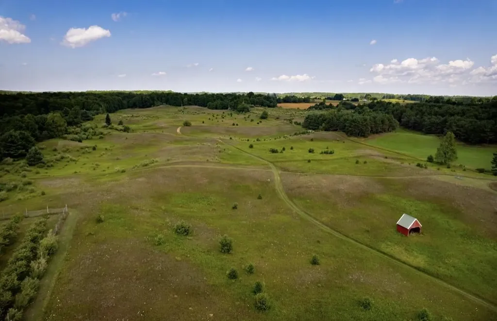 7322 Fryzelka Road Grant Township MI 49620
