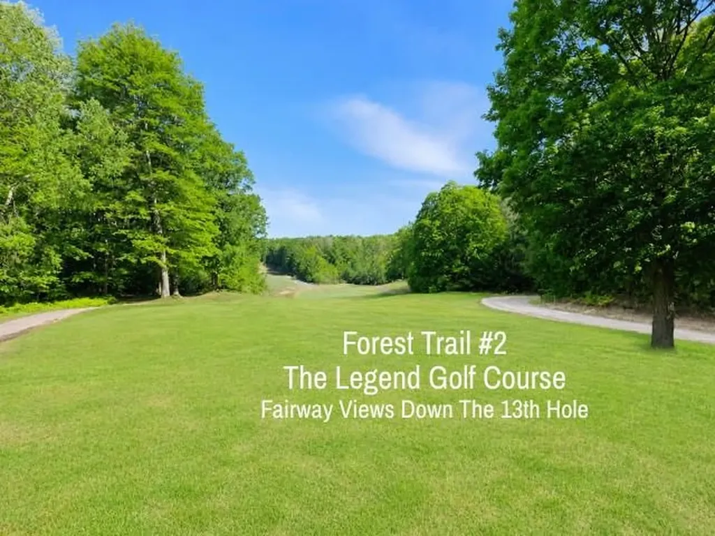 2 Forest Trail Custer Township MI 49615