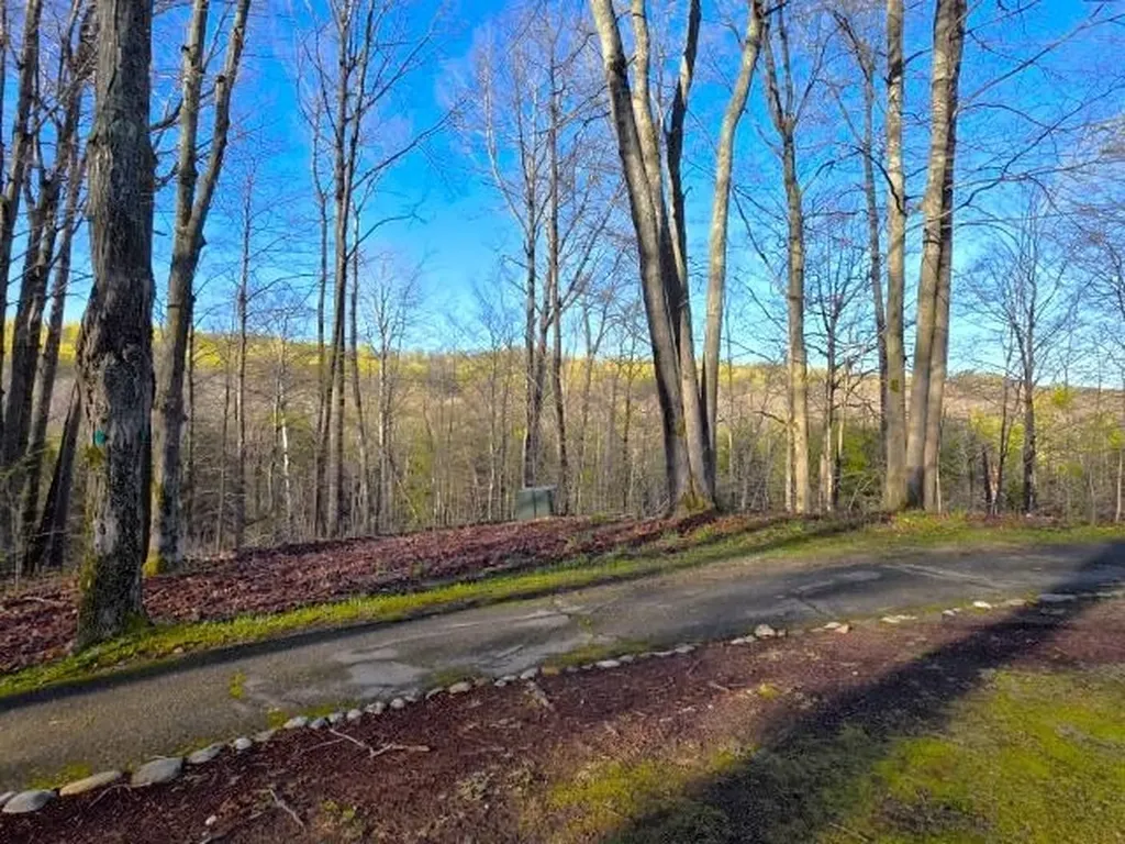 2 Forest Trail Custer Township MI 49615