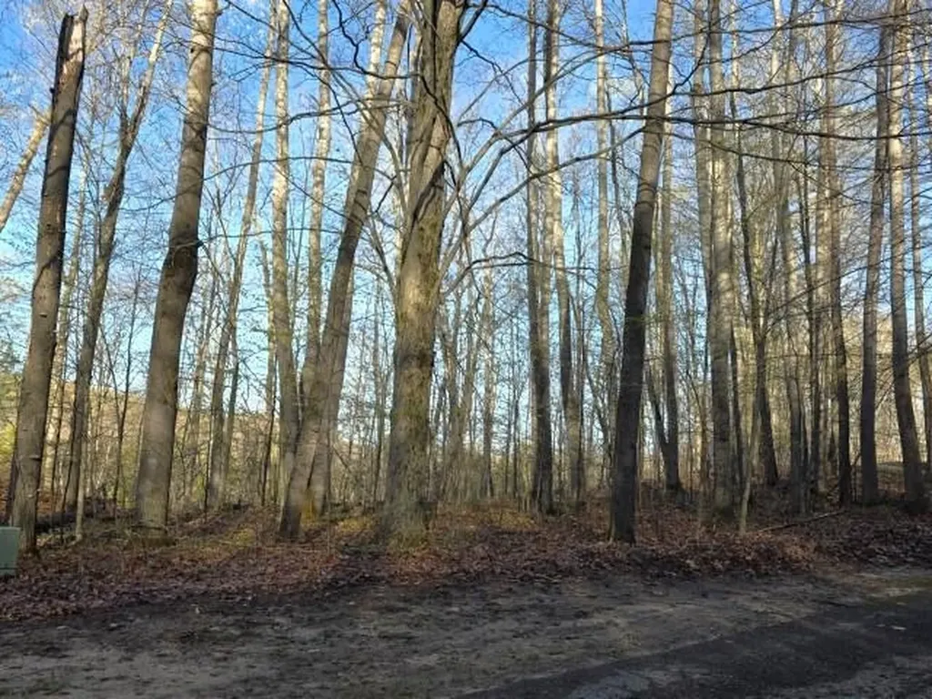 2 Forest Trail Custer Township MI 49615