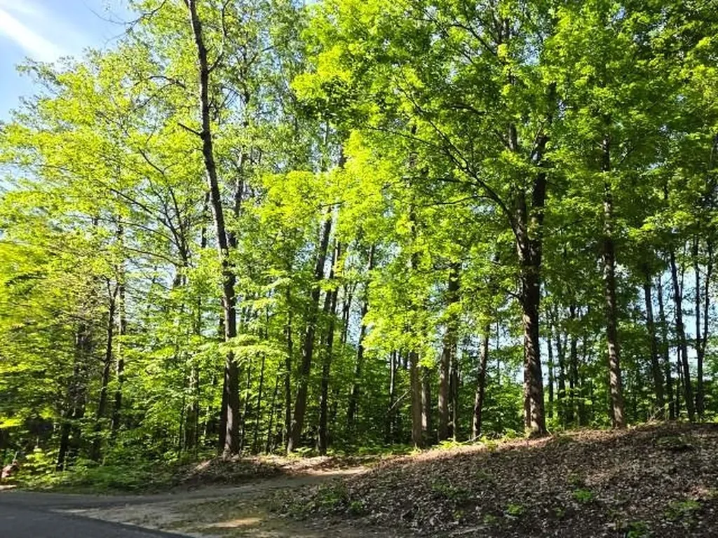 2 Forest Trail Custer Township MI 49615