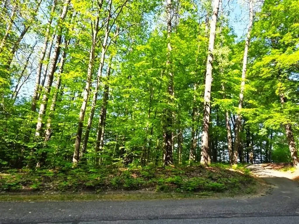 2 Forest Trail Custer Township MI 49615