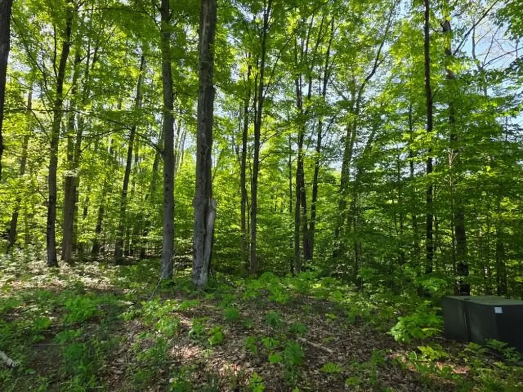 2 Forest Trail Custer Township MI 49615