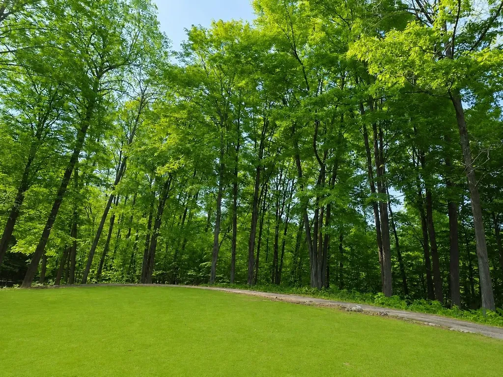 2 Forest Trail Custer Township MI 49615
