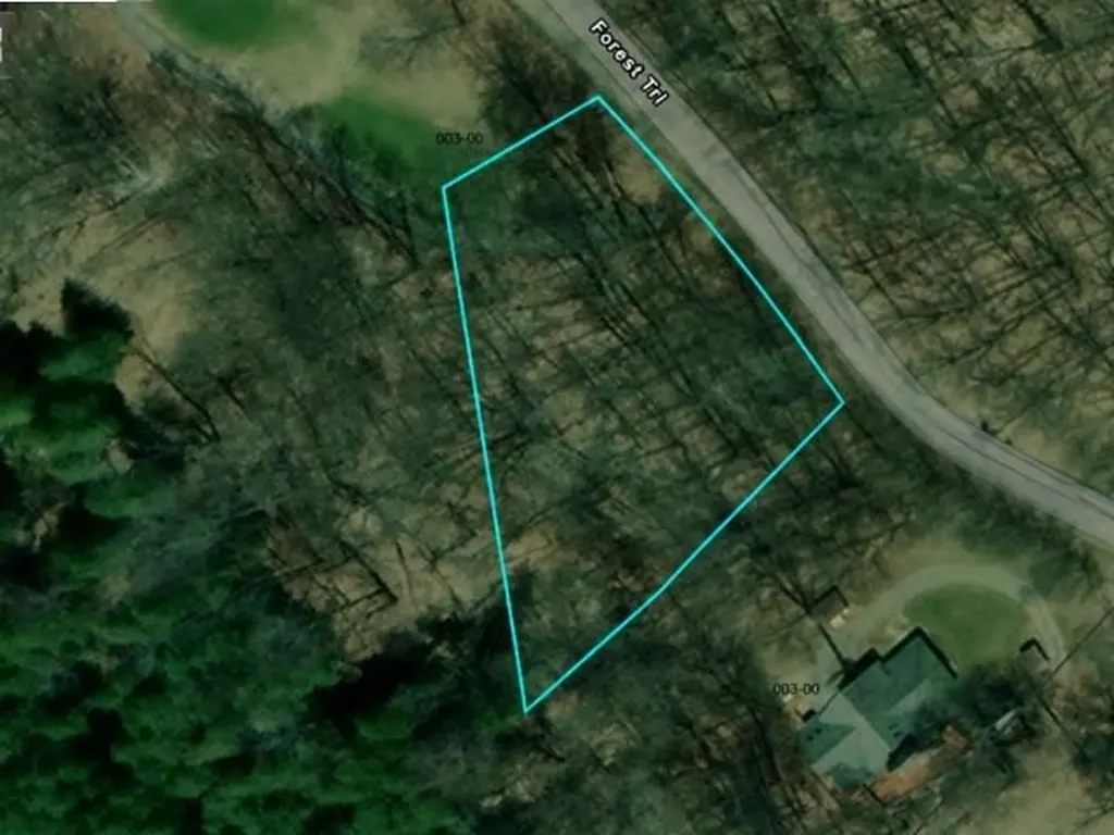 2 Forest Trail Custer Township MI 49615