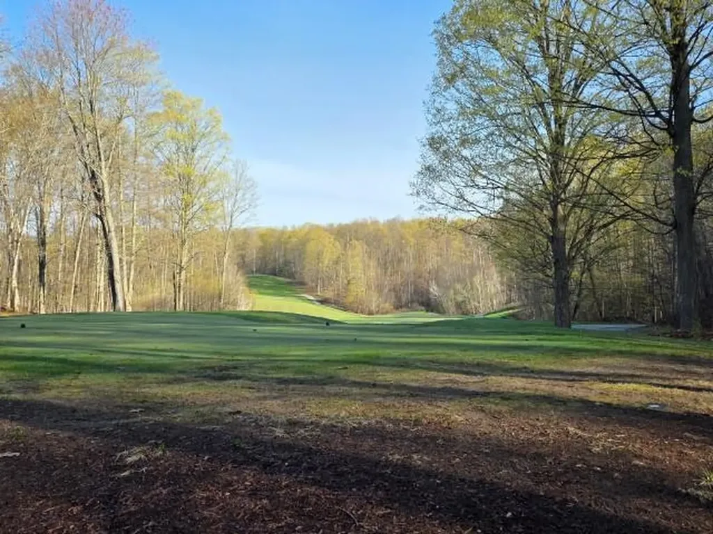 2 Forest Trail Custer Township MI 49615