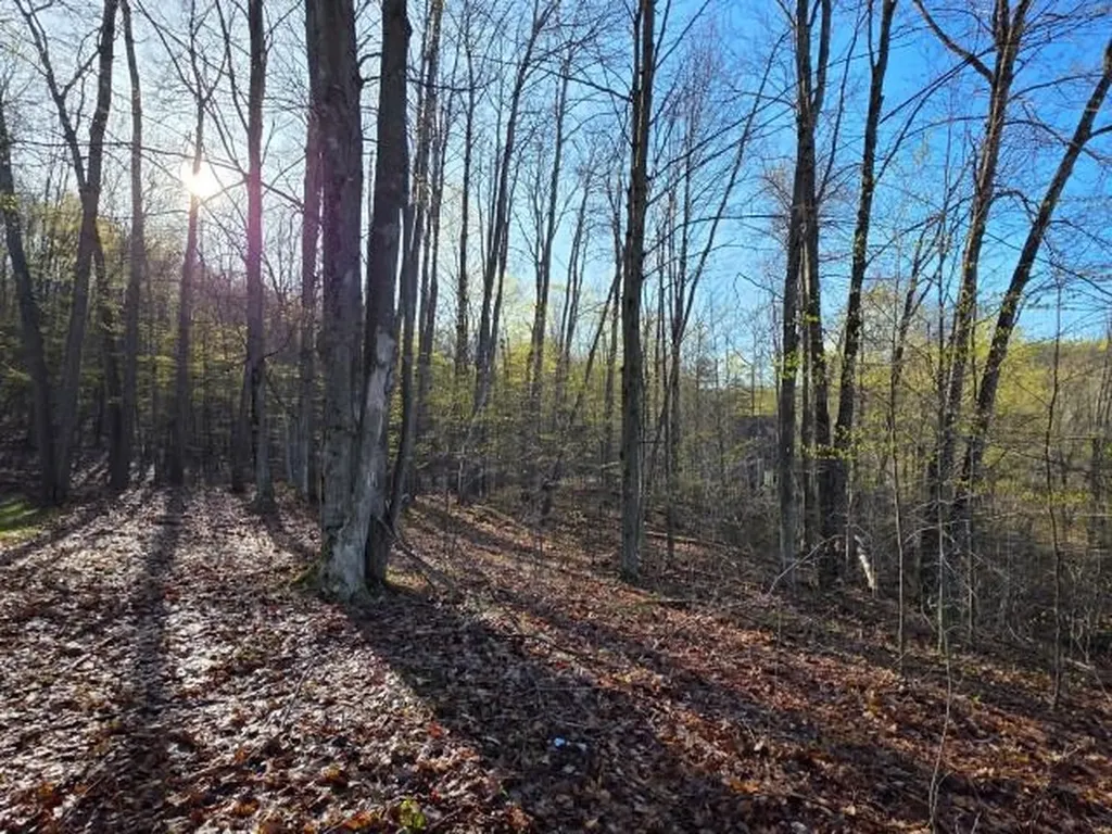 2 Forest Trail Custer Township MI 49615