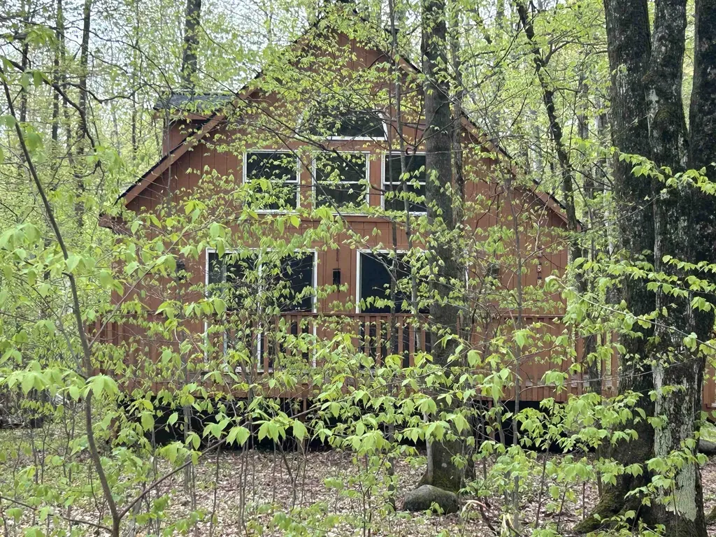 2577 W Schuss Mountain Drive Custer Township MI 49615