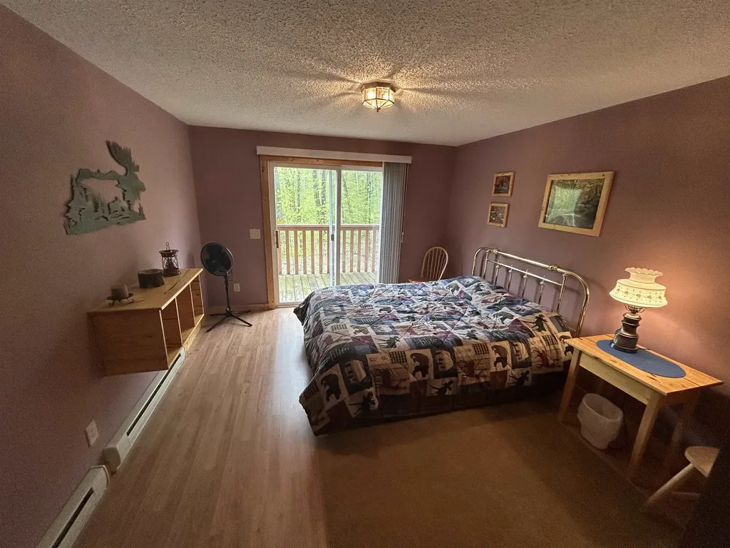 2577 W Schuss Mountain Drive Custer Township MI 49615