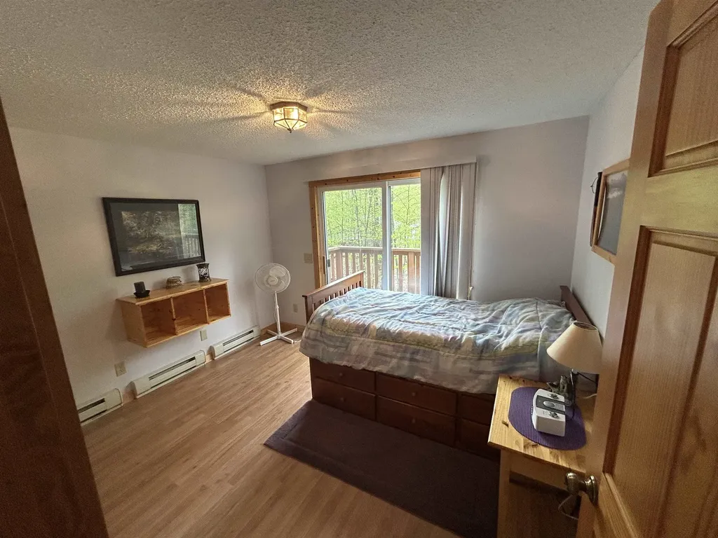 2577 W Schuss Mountain Drive Custer Township MI 49615