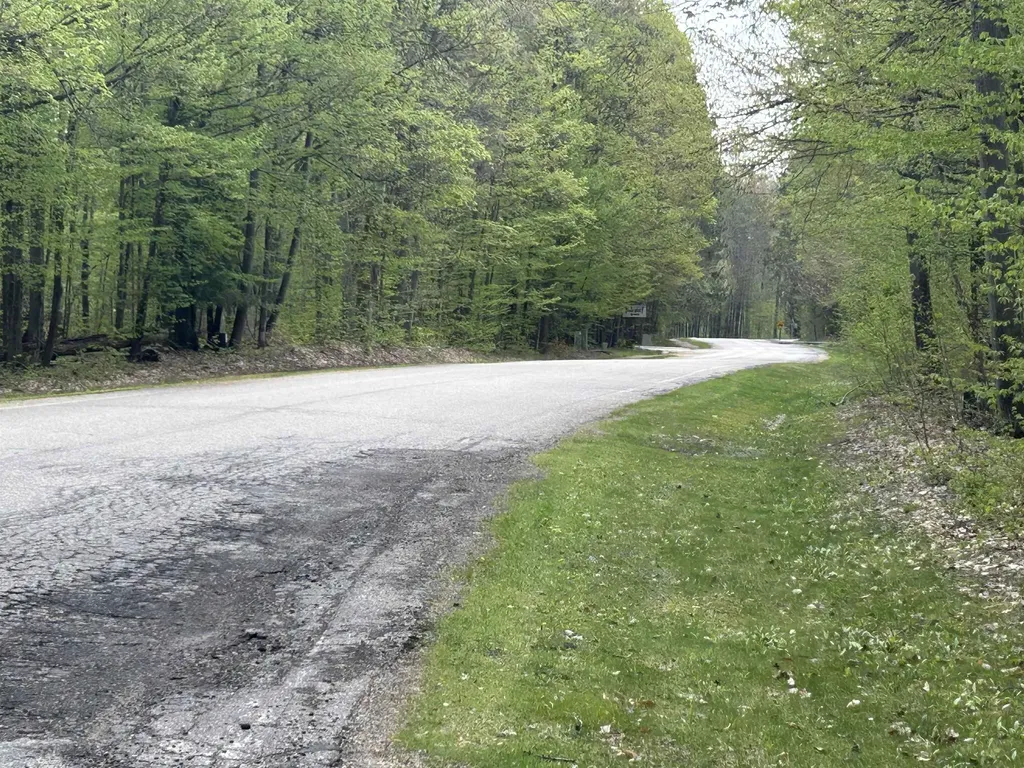 2577 W Schuss Mountain Drive Custer Township MI 49615