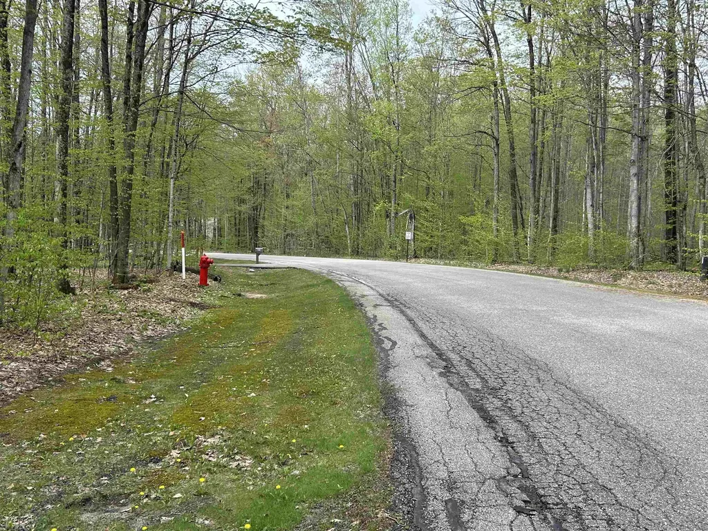2577 W Schuss Mountain Drive Custer Township MI 49615