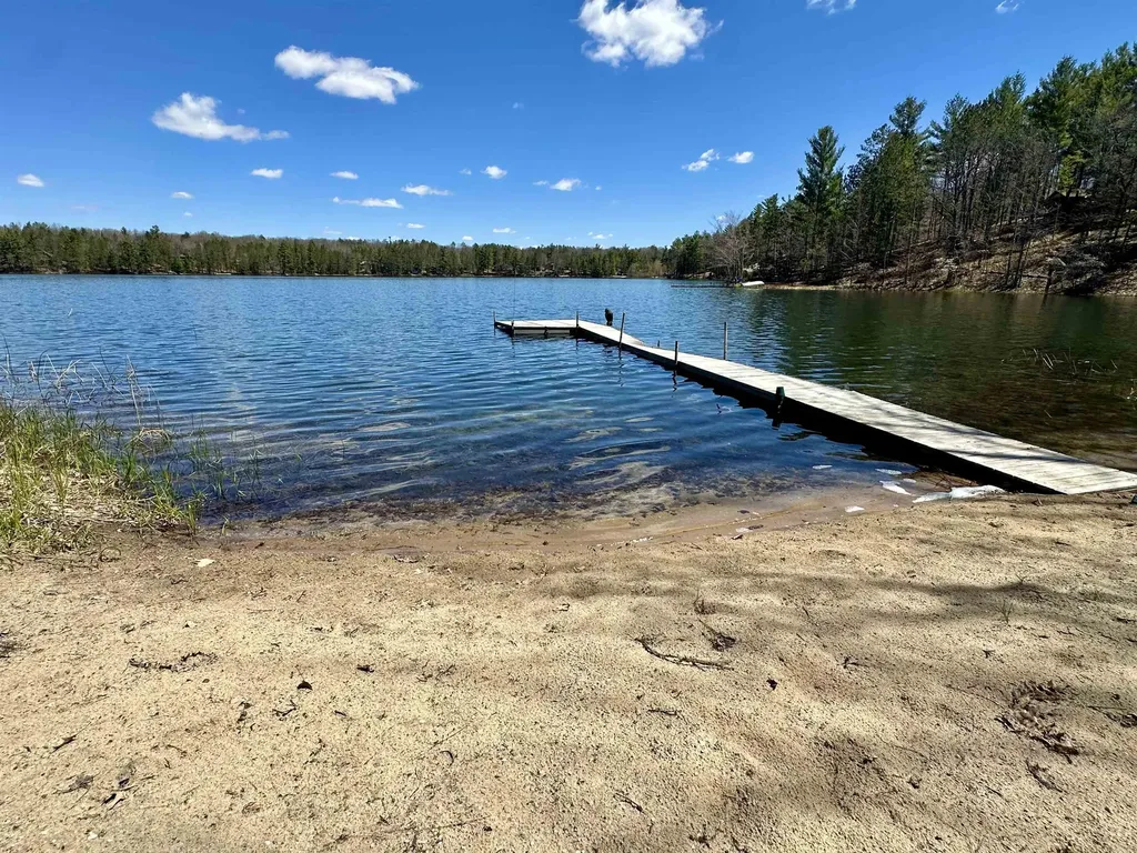 10723 Black Bear Road Bear Lake Township MI 49646