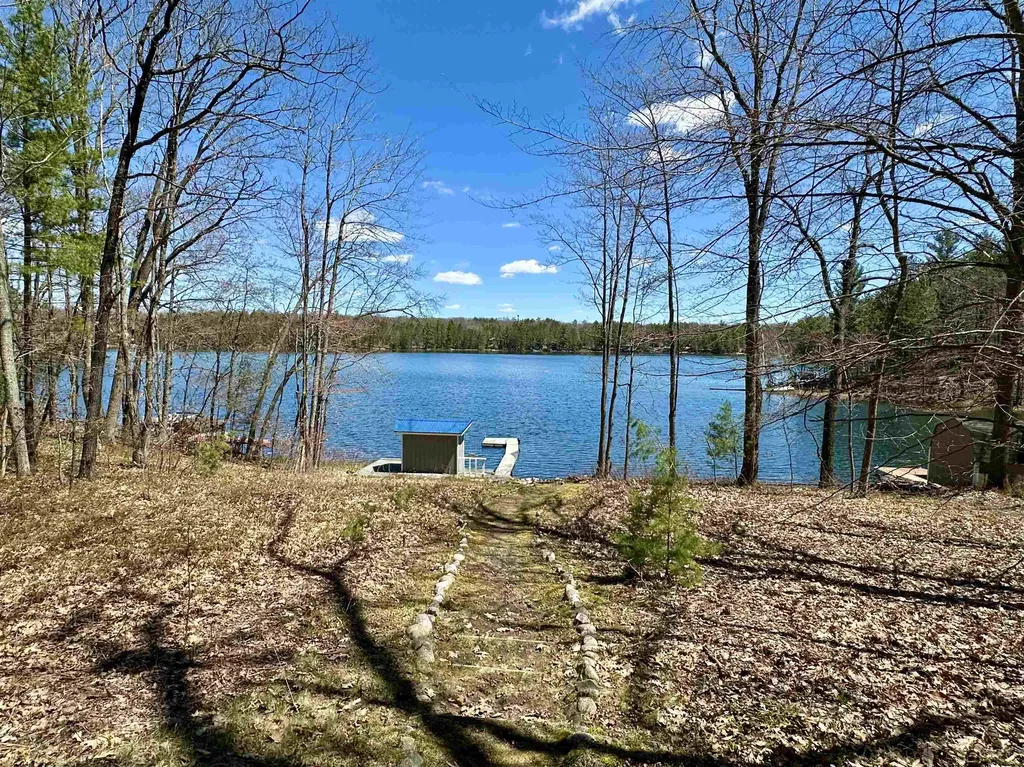 10723 Black Bear Road Bear Lake Township MI 49646