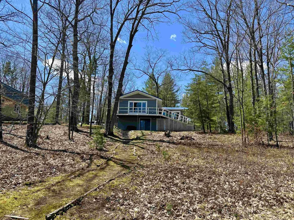 10723 Black Bear Road Bear Lake Township MI 49646
