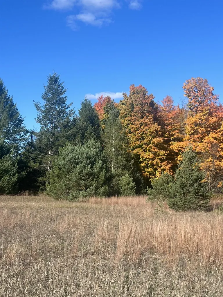 247 Blue Heron Drive Orange Township MI 49646
