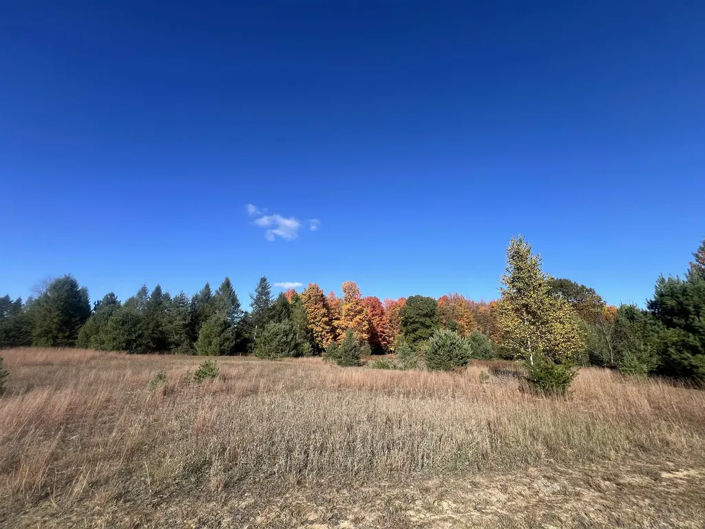 247 Blue Heron Drive Orange Township MI 49646