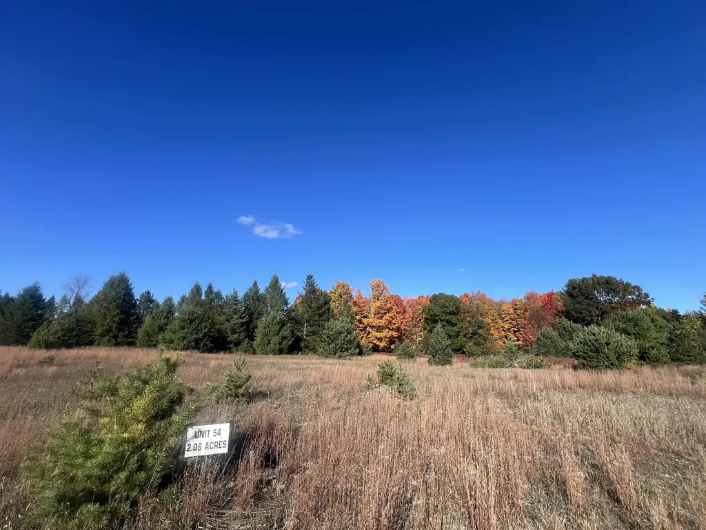 247 Blue Heron Drive Orange Township MI 49646
