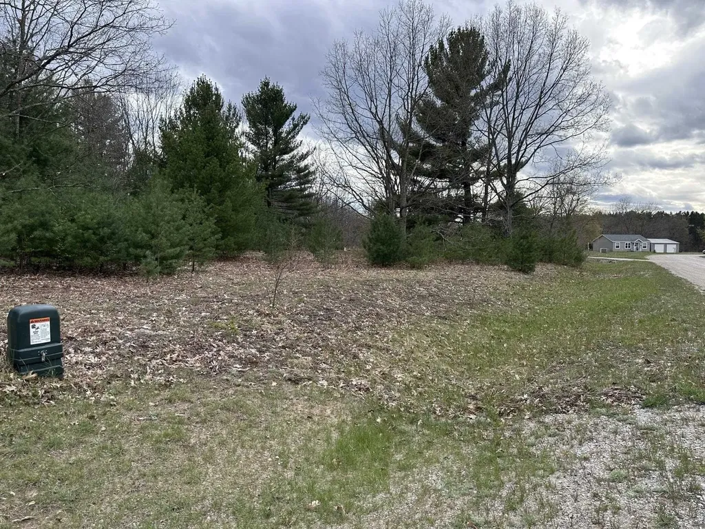 11797 Country Acres Drive Grant Township MI 49643