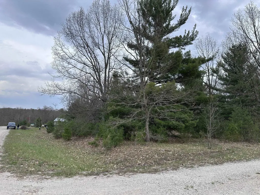 11797 Country Acres Drive Grant Township MI 49643