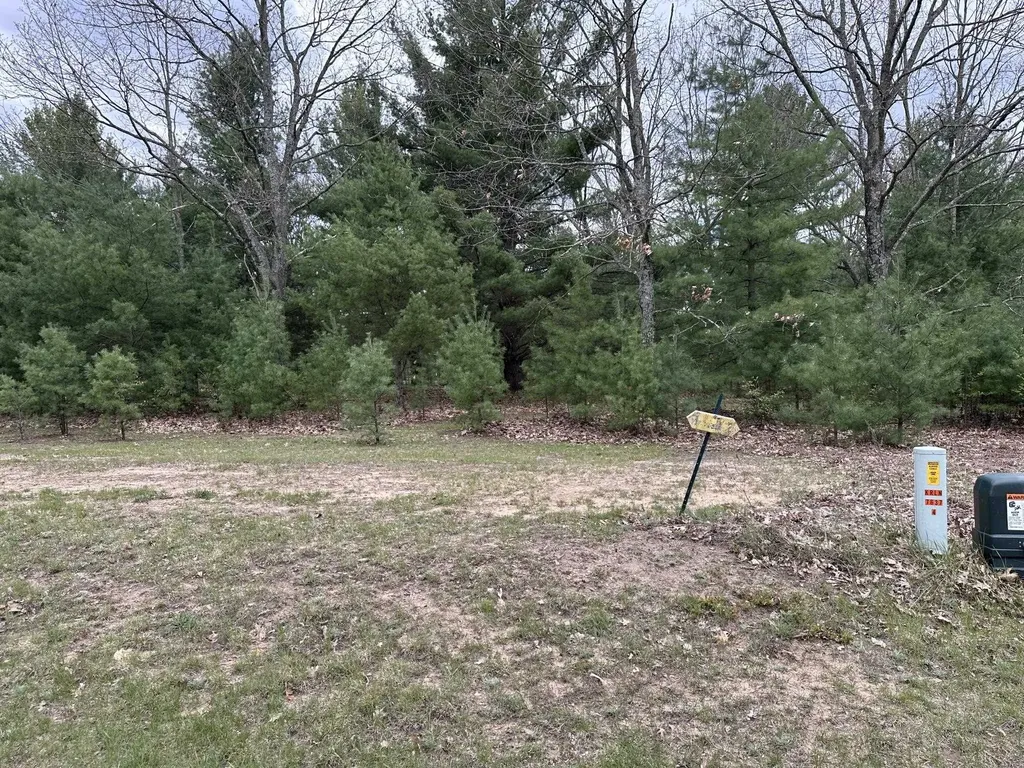 11797 Country Acres Drive Grant Township MI 49643