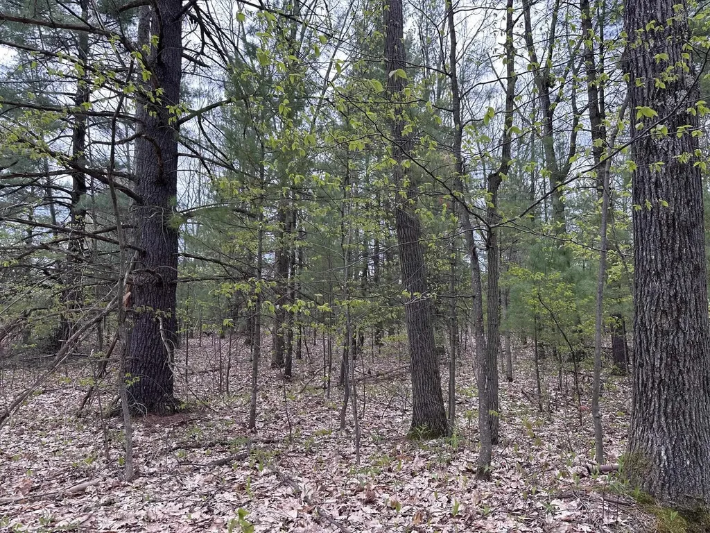 11797 Country Acres Drive Grant Township MI 49643