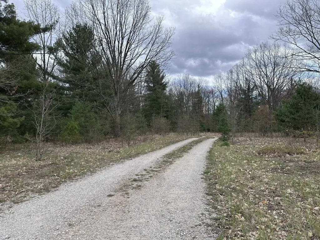 11797 Country Acres Drive Grant Township MI 49643
