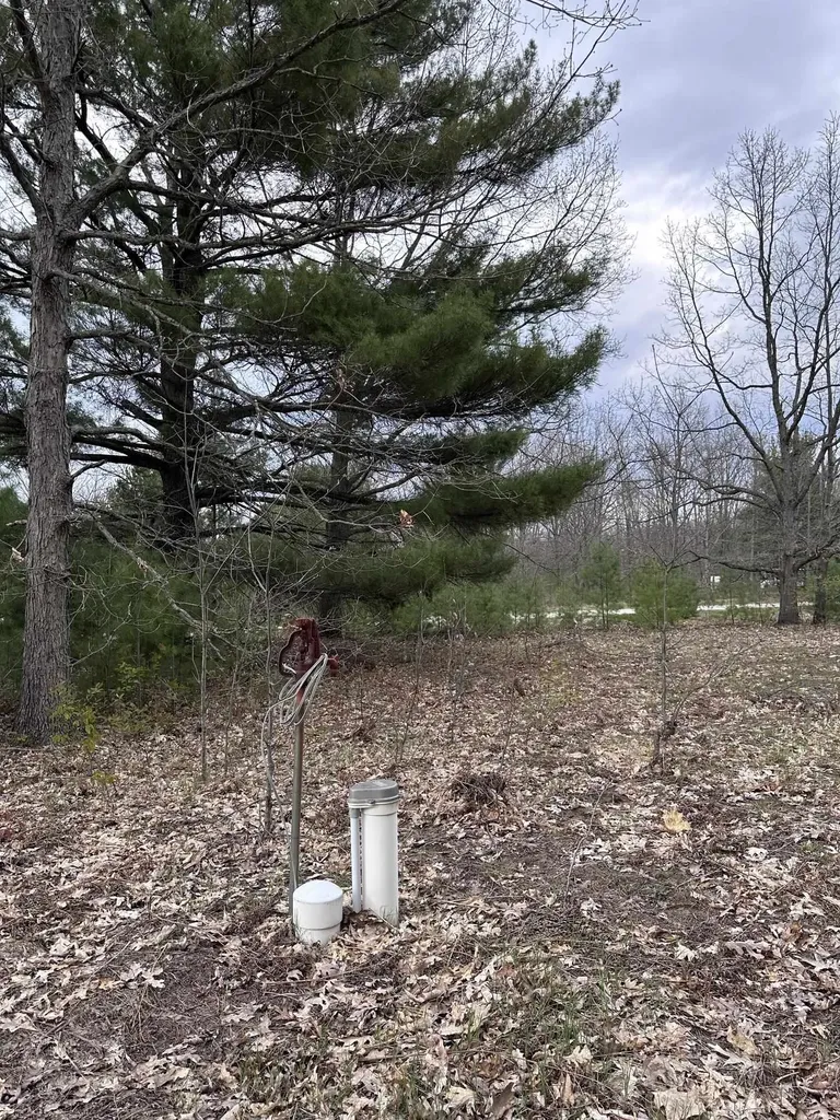 11797 Country Acres Drive Grant Township MI 49643