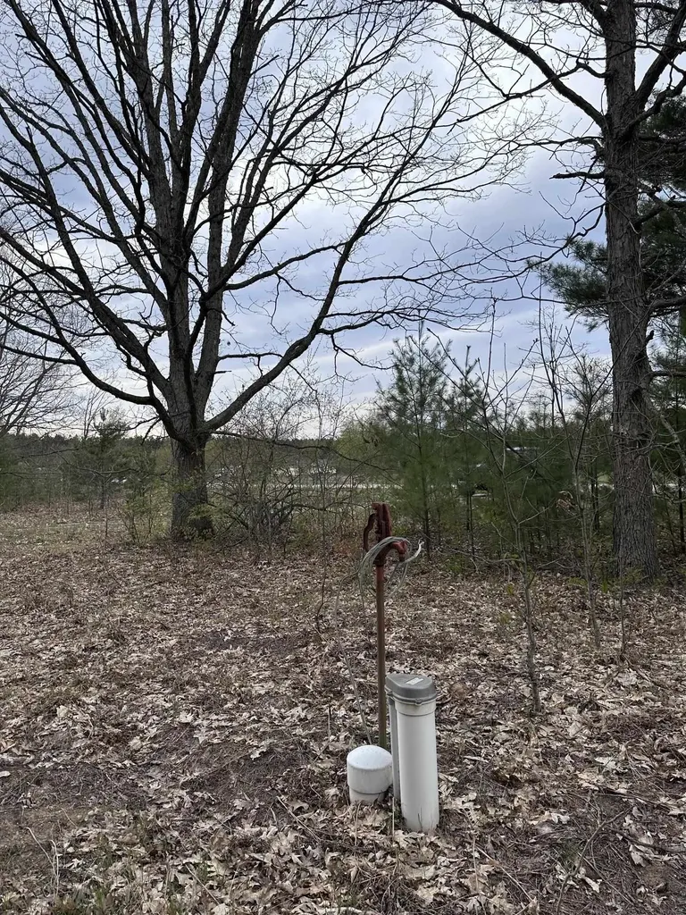 11797 Country Acres Drive Grant Township MI 49643
