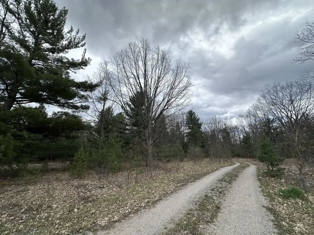11797 Country Acres Drive Grant Township MI 49643