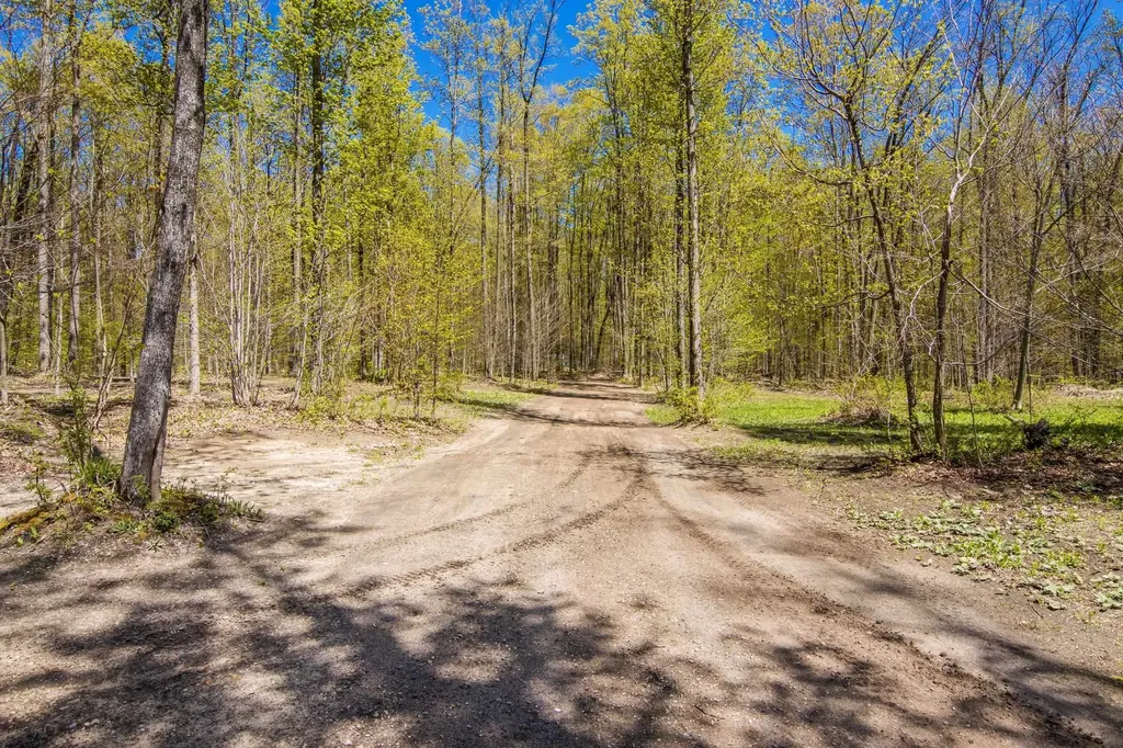 Vl (10 Acres) W Elder Custer Township MI 49659