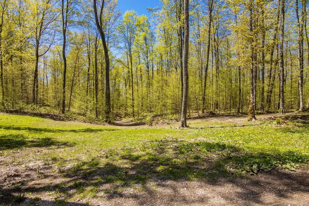 Vl (10 Acres) W Elder Custer Township MI 49659