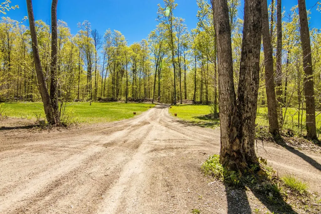 Vl (10 Acres) W Elder Custer Township MI 49659