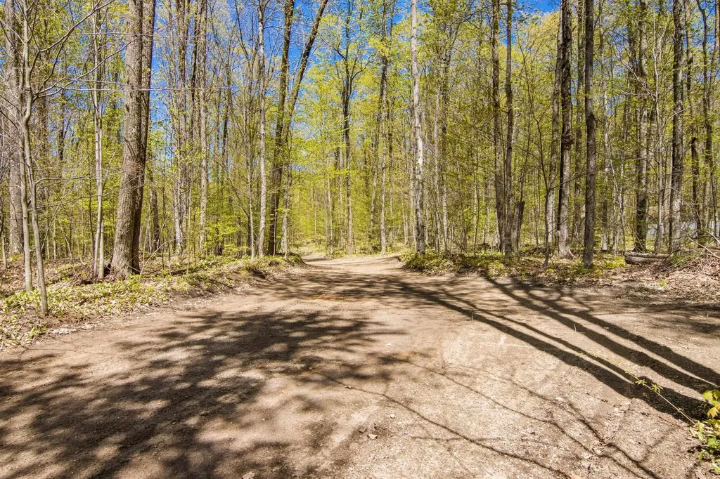 Vl (10 Acres) W Elder Custer Township MI 49659