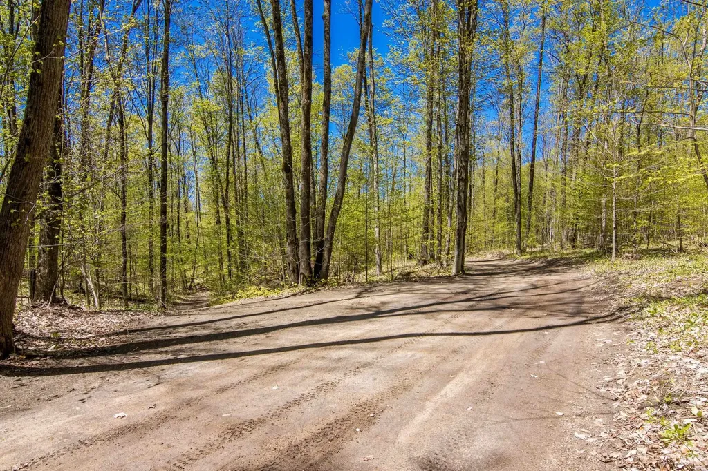 Vl (10 Acres) W Elder Custer Township MI 49659